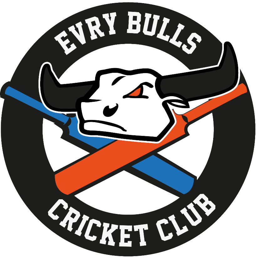 logi_cricket_evry_bulls